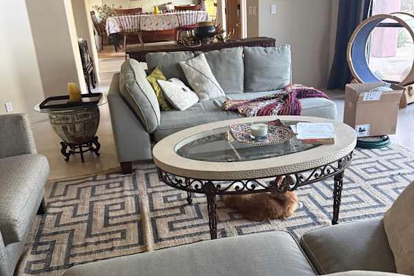 House sit in Scottsdale, AZ, US