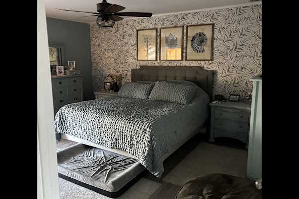 House sit in Selbyville, DE, US