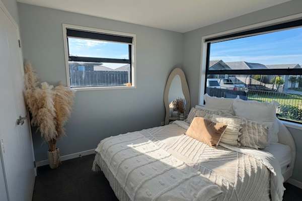 House sit in Tauranga, New Zealand