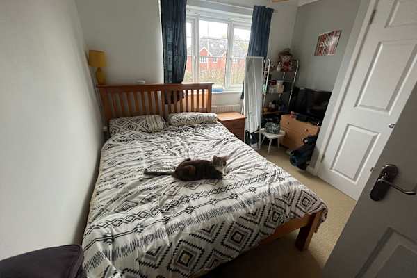 House sit in Wokingham, United Kingdom