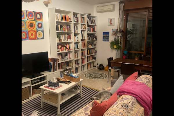 House sit in Milan, Italy