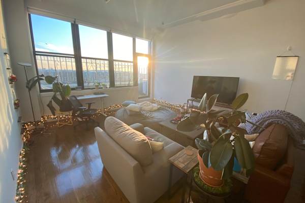 House sit in Brooklyn, NY, US