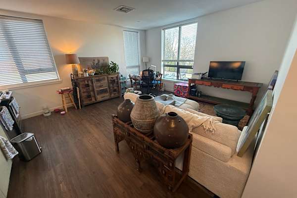 House sit in Newton, MA, US