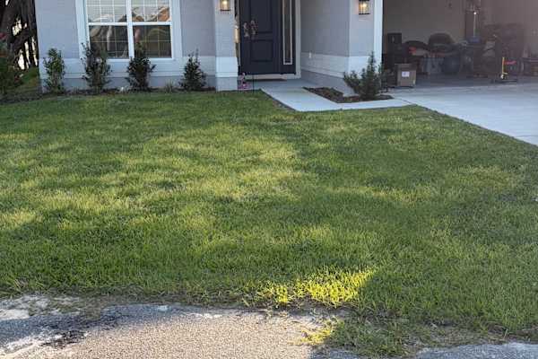 House sit in Inverness, FL, US