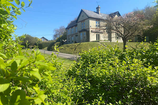 House sit in Salisbury, United Kingdom