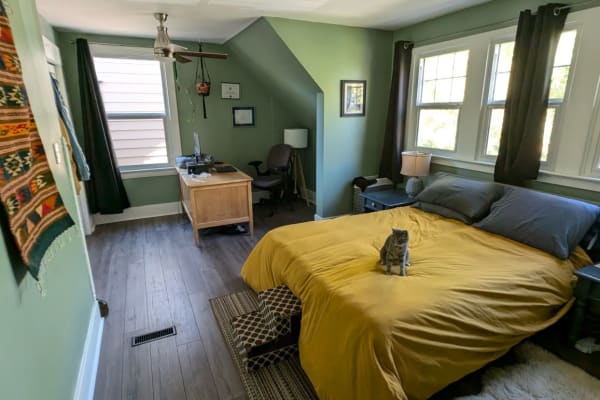 House sit in Edmonton, AB, Canada