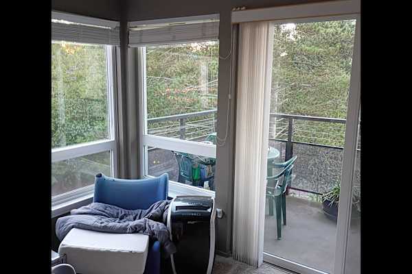 House sit in Edmonds, WA, US