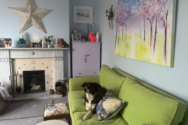 House sit in Harrogate, United Kingdom