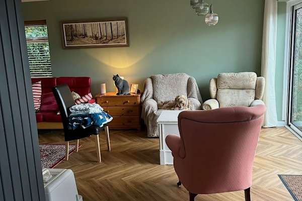 House sit in Stourbridge, United Kingdom