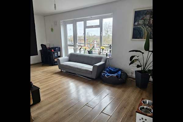 House sit in London, United Kingdom