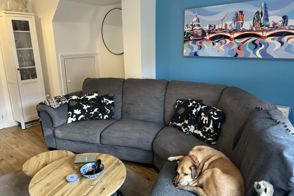 House sit in Sutton, United Kingdom