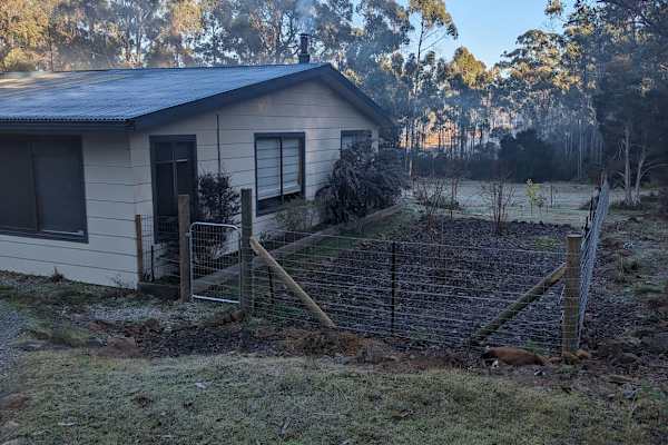 House sit in Launceston, TAS, Australia