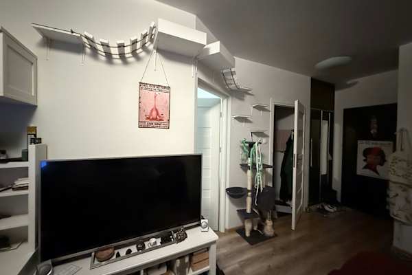 House sit in Warsaw, Poland