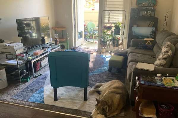 House sit in Garden City, ID, US