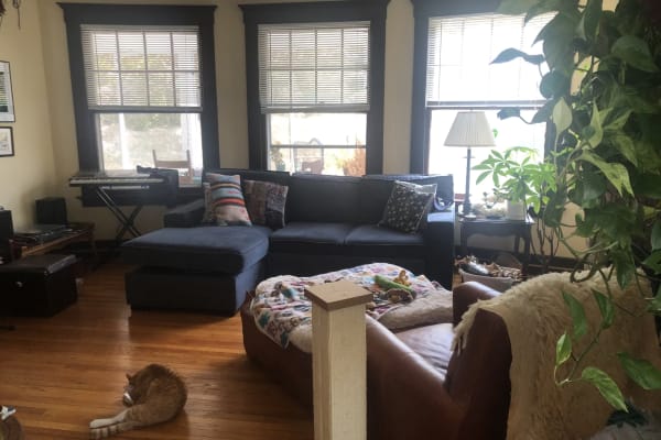 House sit in New Haven, CT, US