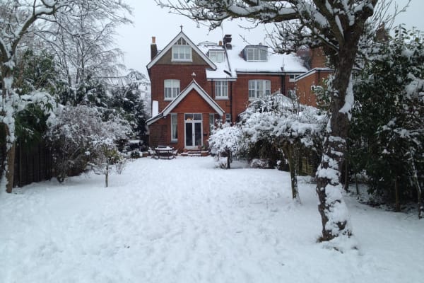 House sit in Reigate, United Kingdom