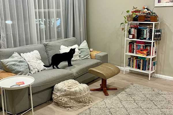 House sit in Sydney, NSW, Australia
