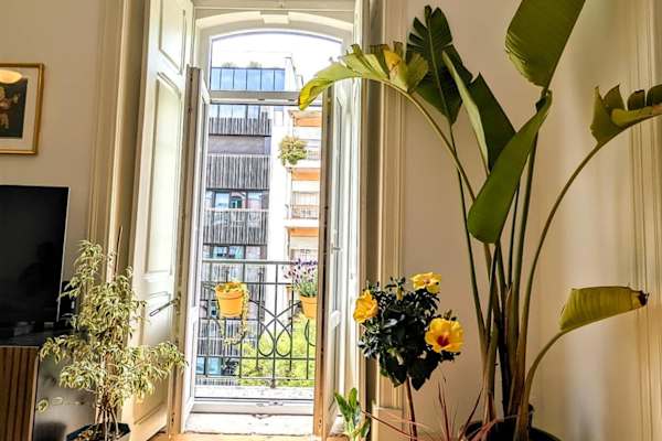 House sit in Lisbon, Portugal