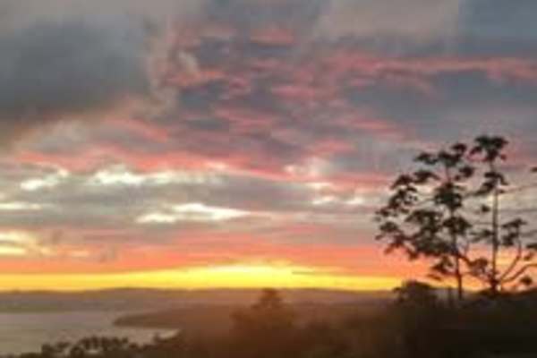 House sit in Tilarán, Costa Rica