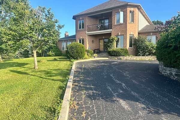 House sit in Hamilton, ON, Canada