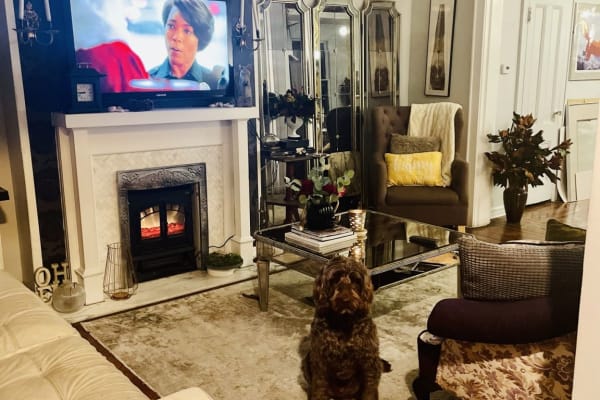 House sit in Jersey City, NJ, US