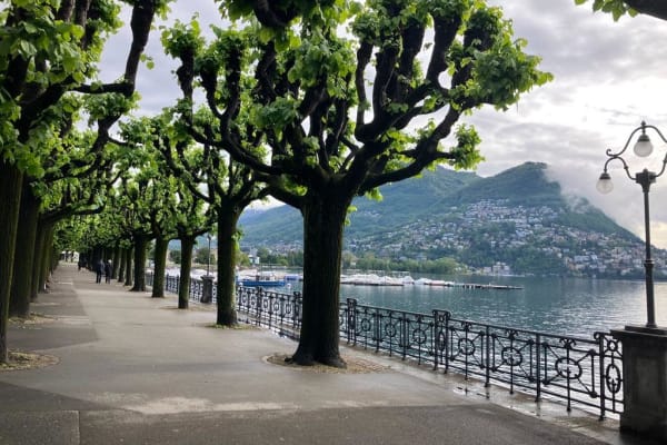 House sit in Lugano, Switzerland