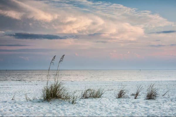 House sit in Biloxi, MS, US