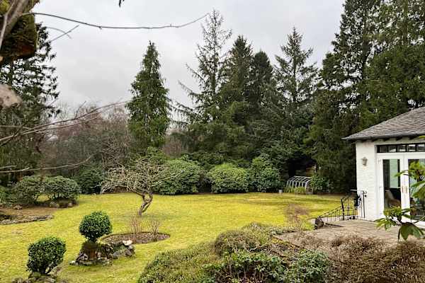 House sit in Glasgow, United Kingdom