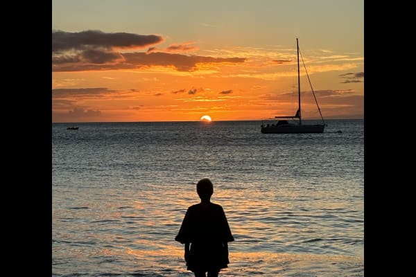 House sit in Santa Cruz, CA, US