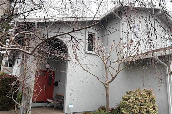 House sit in Redwood City, CA, US