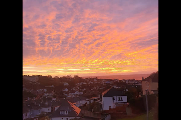 House sit in Teignmouth, United Kingdom