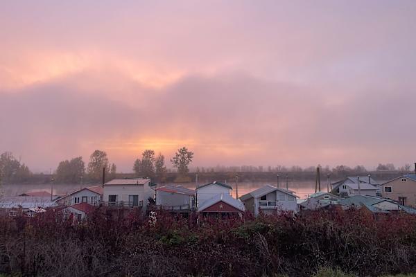 House sit in Scappoose, OR, US