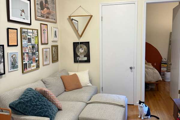 House sit in Brooklyn, NY, US