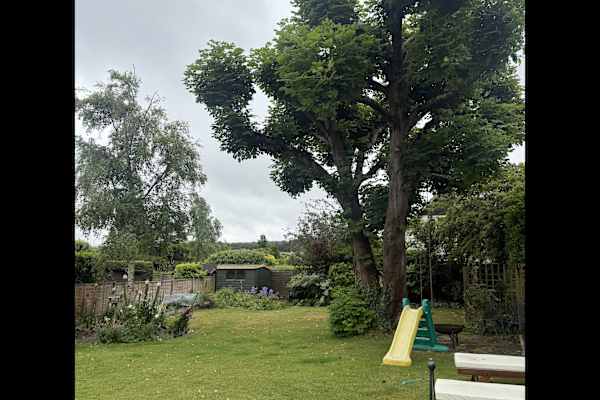 House sit in Sparsholt, United Kingdom