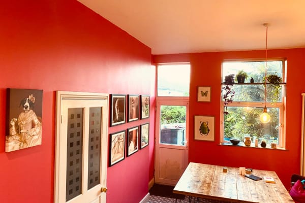 House sit in Bristol, United Kingdom