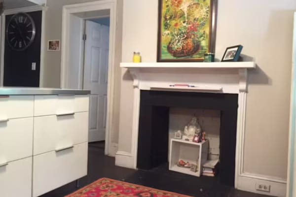 House sit in Manhattan, NY, US