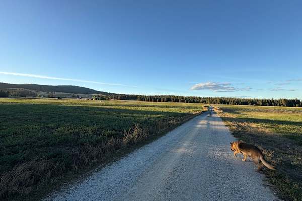 House sit in Spokane, WA, US