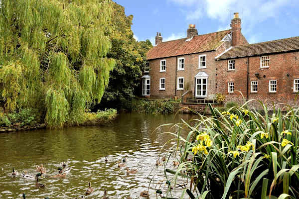 House sit in Driffield, United Kingdom