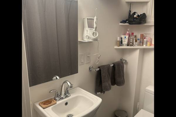 House sit in Berkeley, CA, US