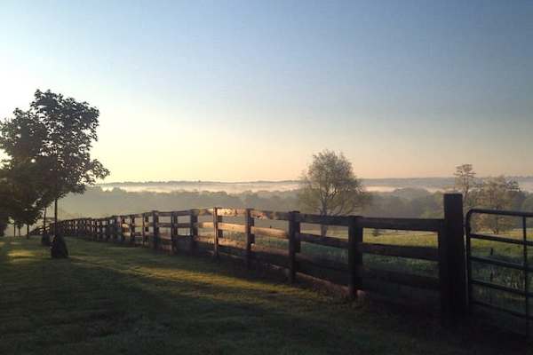 House sit in Murray, KY, US