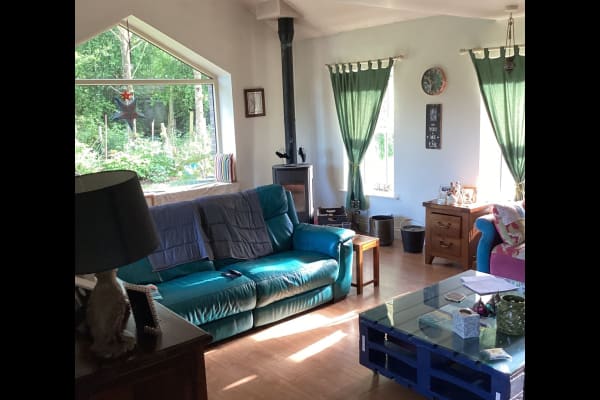 House sit in Navan, Ireland