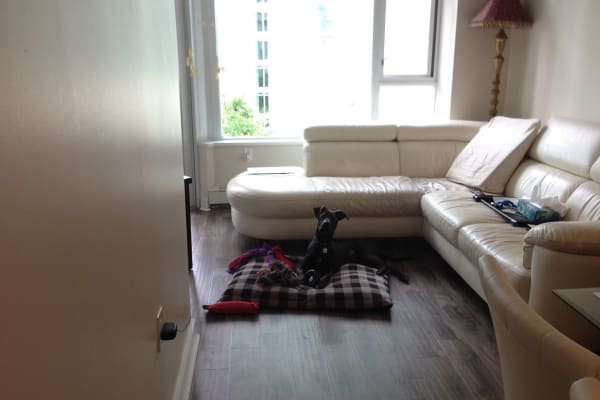 House sit in Vancouver, BC, Canada