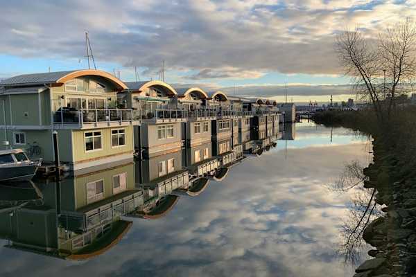 House sit in North Vancouver, BC, Canada