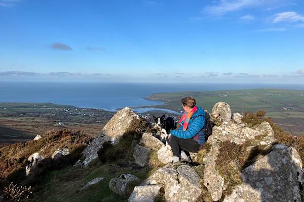 House sit in Fishguard, United Kingdom