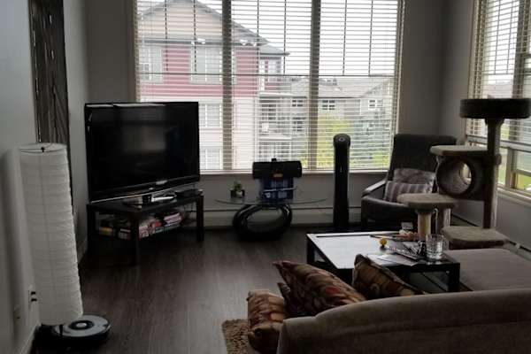 House sit in Edmonton, AB, Canada