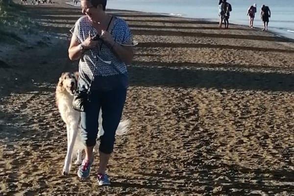 House sit in El Perelló, Spain