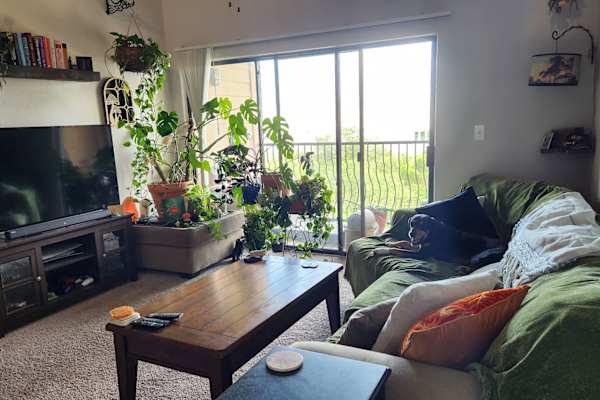House sit in The Colony, TX, US