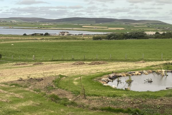 House sit in Stenness, United Kingdom