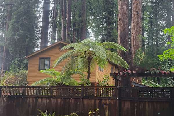 House sit in Monte Rio, CA, US