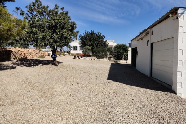 House sit in Cheste, Spain